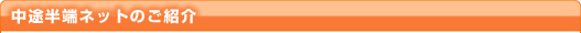 中途半端ネットのご紹介