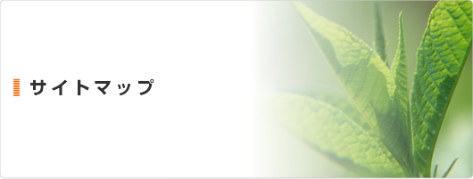 サイトマップ